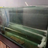 اکواریوم شیشه خم