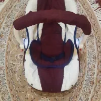 کریر بچه در حد نو|کالسکه و لوازم جانبی|تهران, استاد معین|دیوار