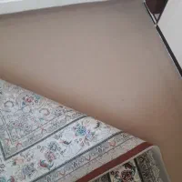 موکت بازدید جوانرود|موکت|جوانرود, |دیوار