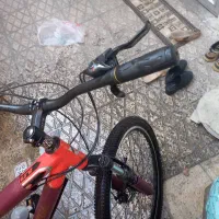 دوچرخه حرفه ای ویوا|دوچرخه، اسکیت، اسکوتر|ری, علایین|دیوار