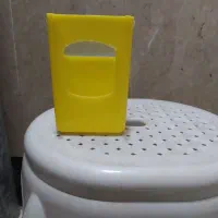 دانه خور پرنده