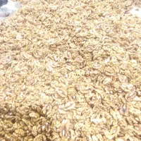 نیروی کار خانم