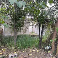 فروش خانه ومحوطه روستایی ۱/۵هکتاری منطقه آزادانزلی|فروش زمین و ملک کلنگی|خشکبیجار, |دیوار