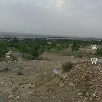 باغ 2 هکتاری در روستای زرند قیدار|فروش زمین و ملک کلنگی|سجاس رود, |دیوار