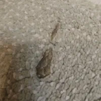 یک جفت فرش چهار متری کاملا سالم|فرش|اصفهان, خانه اصفهان|دیوار