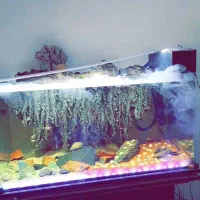 اکواریوم تراریوم پلنت خاص