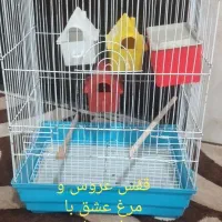 چهار عدد قفس همراه لوازم بفروش میرسد