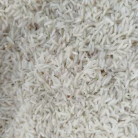 فروش لاشه هاشمی صدری برنج در ماهدشت|خوردنی و آشامیدنی|ماهدشت, |دیوار