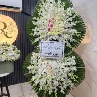 گل ختمی|گل و گیاه طبیعی|تهران, شهرک محلاتی|دیوار