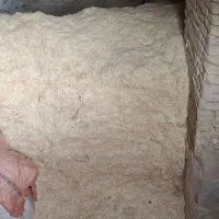 کاه گندم دیم
