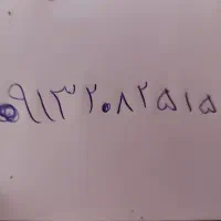 شماره موبایل رند