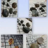 سنگ قیمتی|کلکسیون اشیاء عتیقه|تکاب, |دیوار