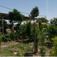 8/500مترزمین بامجوزگلخانه(سند۶دانگ تک برگ)داودآباد|فروش دفتر صنعتی، کشاورزی، تجاری|قرچک, داوود آباد|دیوار