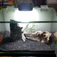 اکواریم کوچک فایتر  و زبرا با درب لولا دار