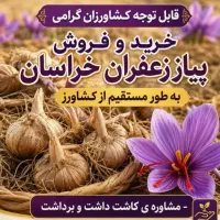 پیاز زعفران