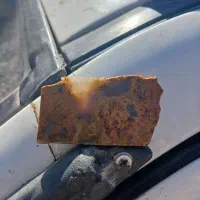 شجر گل اناری|جواهرات|زنجان, |دیوار