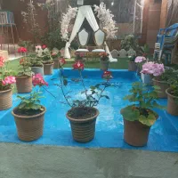 نیروی خانم کافه رستوران|استخدام خدمات فروشگاه و رستوران|مرودشت, ابوذر شمالی‎|دیوار