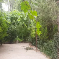 ۵۰۰ متر باغ درختان قدیمی/۴ دیواری/در شهریار/ نماز