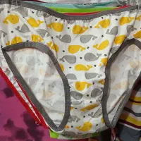 لباس زیر|لباس|رشت, پل تالشان|دیوار