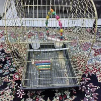 قفس پرنده