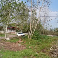 ۵۰۰مترزمین داخل طرح ویشگاننک سنگررشت|فروش زمین و ملک کلنگی|سنگر, |دیوار