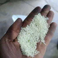 برنج هاشمی الموت