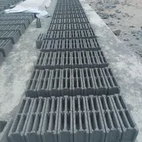 بلوک زن ماهر