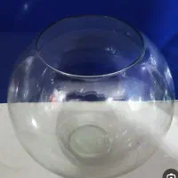 تنگ شیشه ای