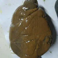 سنگ مشکوک|جواهرات|سنندج, |دیوار