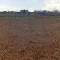 زمین مناسب سرمایه گذاری|فروش زمین و ملک کلنگی|صائین قلعه, |دیوار