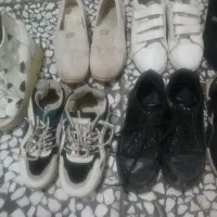 کفش همه باهم|کیف، کفش، کمربند|اردبیل, |دیوار