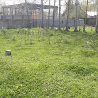 فروش زمین مسکونی سند دار شهر کلاردشت لاهو خ کلار|فروش زمین و ملک کلنگی|کلاردشت, |دیوار