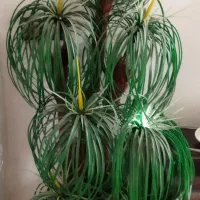 نخل سالم با گلدان