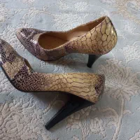 کفش مجلسی|کیف، کفش، کمربند|آق قلا, |دیوار