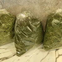 انواع سبزی خشک ارگانیک