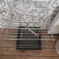 قفس|لوازم جانبی حیوانات|بیرجند, |دیوار