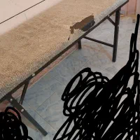 صندلی ارایشگاه اصلاح واپلاسیون