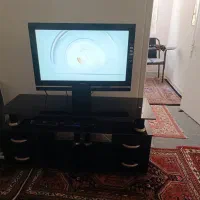 تلویزیون