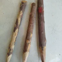 چوب گردو تکانی بلند|عمده‌فروشی|شیراز, کوشک میدان|دیوار