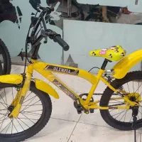 دوچرخه ۲۰ تنه حرفه‌ای عروسک با رنگهای مختلف