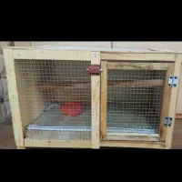 ساخت قفس چوبی|لوازم جانبی حیوانات|سنندج, |دیوار