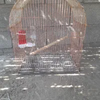 قفس|لوازم جانبی حیوانات|میناب, |دیوار