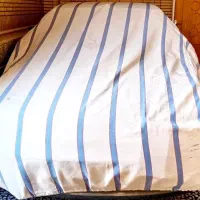 فروش پژو پارس سال|خودرو سواری و وانت|نجفآباد, معرفت|دیوار