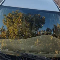 سمند مدل 84جلو عقب پلمپ فوری|خودرو سواری و وانت|مراغه, |دیوار