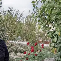 نیازمند به سرایدار و باغبان