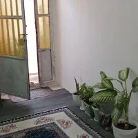 سوئیت ایسین