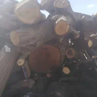 خریدار چوب گردو قطر 25به بالا