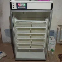 دستگاه جوجه کشی