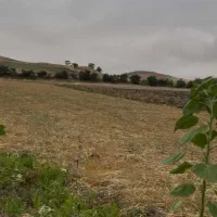 زمین کشاورزی