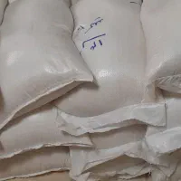 برنج هاشمی محصول امسال|خوردنی و آشامیدنی|رشت, جهاد|دیوار